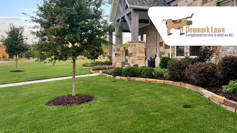 Denmark Lawn in Fort Worth