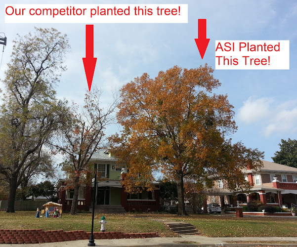Arboricultural Systems in Rockwall