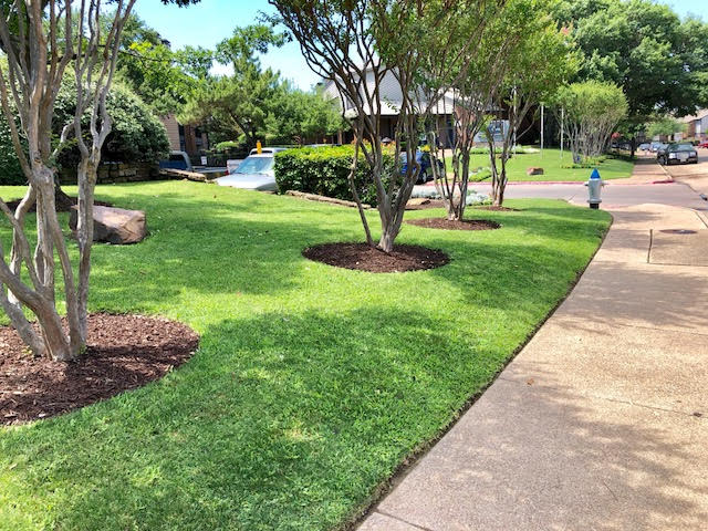 Black Diamond Landscaping in Mesquite