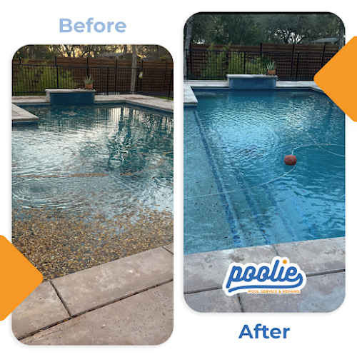 Poolie in McKinney