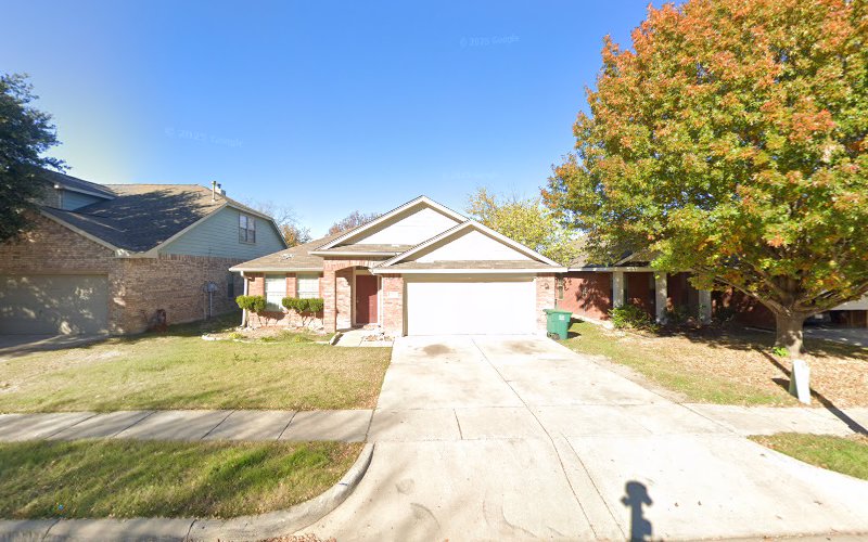 Accurate Tree And Stump Removal in Fort Worth