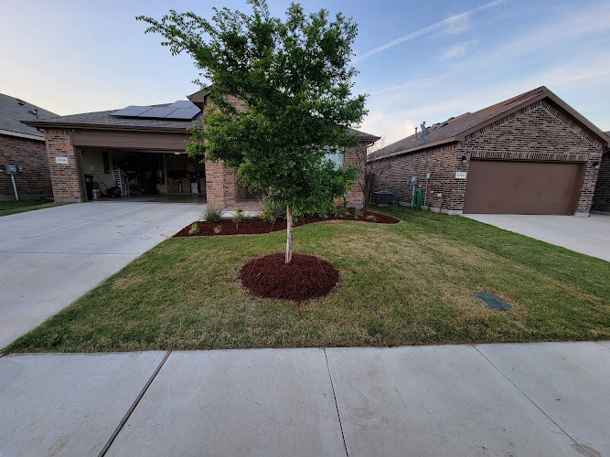 Romero's Irrigation and Landscaping LLC in Fort Worth
