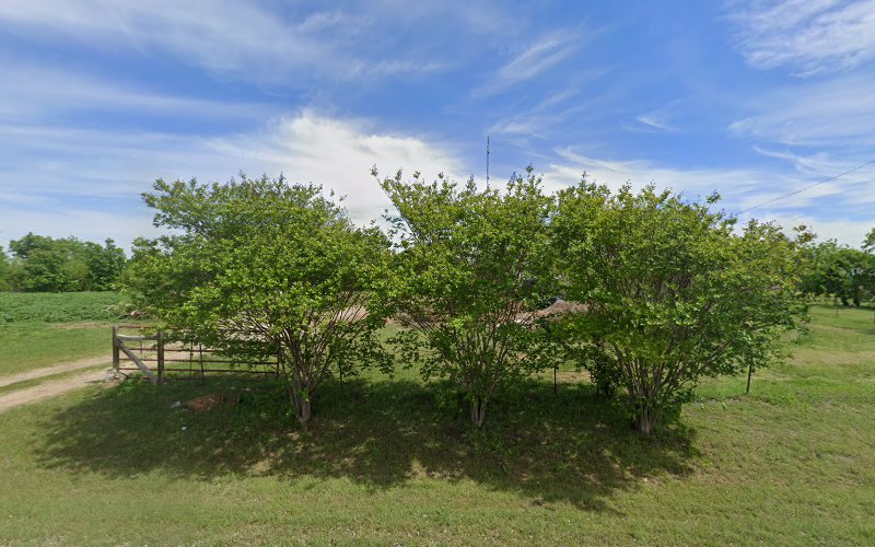 L D Erickson Landscape Construction in Alvarado
