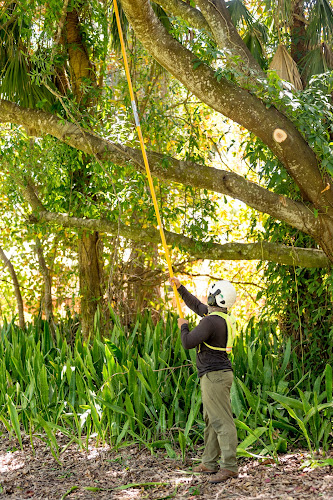 The Davey Tree Expert Company in Richardson