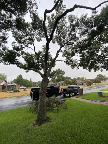 RJ Tree Service in Fort Worth