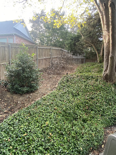 Tom's Lawn Care in Cedar Hill