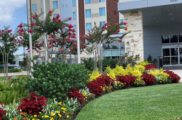 Richmond & Associates Landscaping in Fort Worth