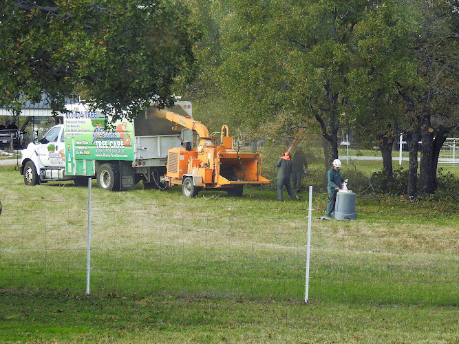 J Davis Tree Care Solutions in Haltom City
