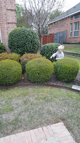 Loves Commercial Lawn Maintenance in Van Alstyne