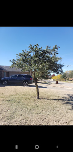Bloys Companies tree service in Rockwall