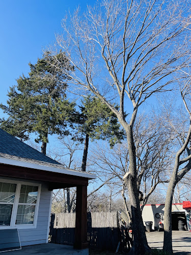 FALCON TREE AND LAWN SERVICE in Princeton