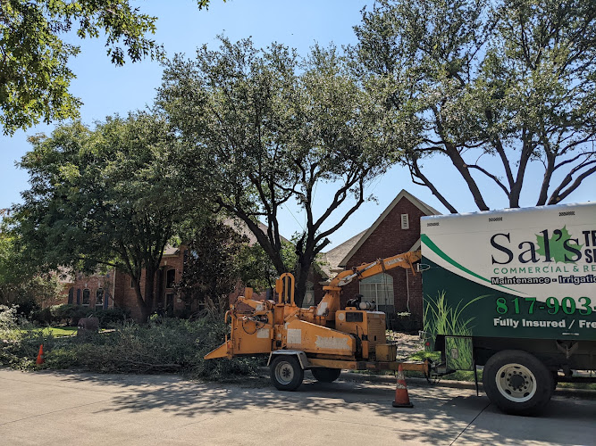 Sal's Landscape & Tree Service in Fort Worth