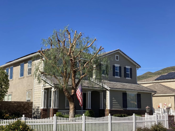 Tree Service Boss of Frisco in Frisco