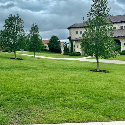 Reed Hydromulch & HydroSeeding in Arlington