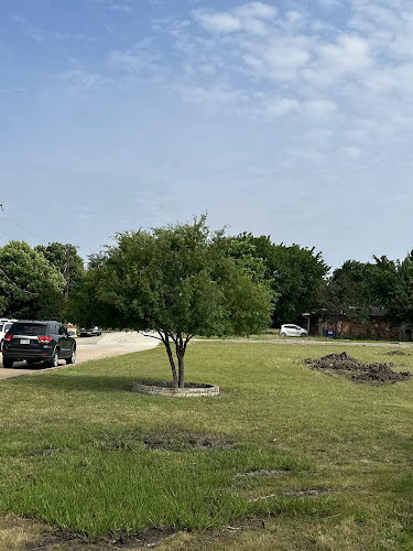 Angel Tree Service in Garland