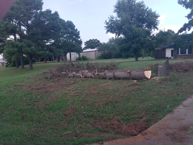 M3 Lawncare and Tree service in Burleson