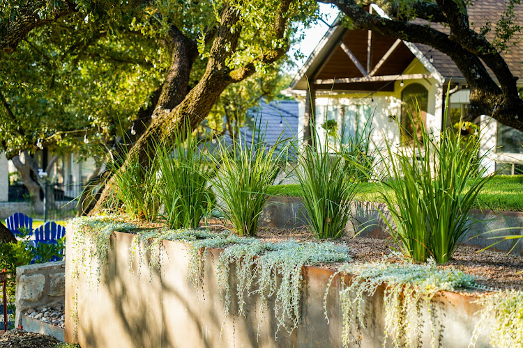 Cutters Landscaping in Dallas
