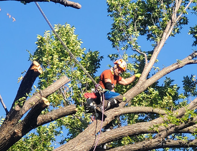 Scapekeepers Tree & Landscape LLC in Azle