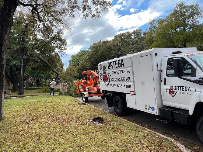 Ortega Tree Service, LLC in Fort Worth