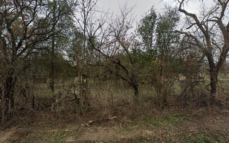 G & B Stump Grinding and Tree Repair in Whitney