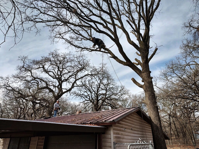 Duncan Tree Care in Mansfield