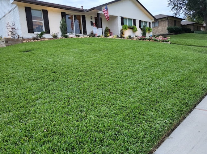 All American Lawn Care in Arlington