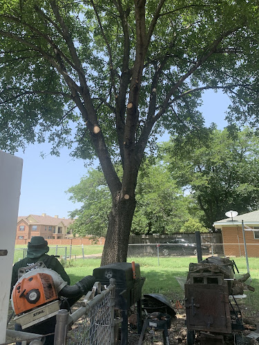 Texas Tree Trimmers in Heath
