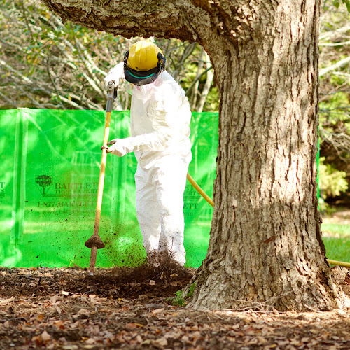 Bartlett Tree Experts in Southlake
