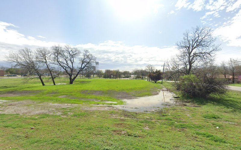 Sachse Landscaping in Sachse
