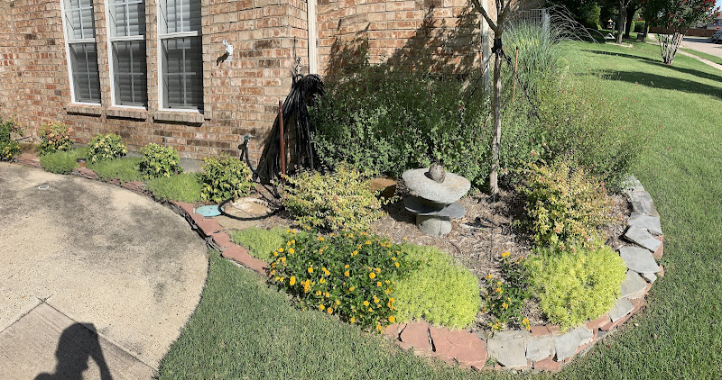 Everbloom Landscaping LLC in Richardson