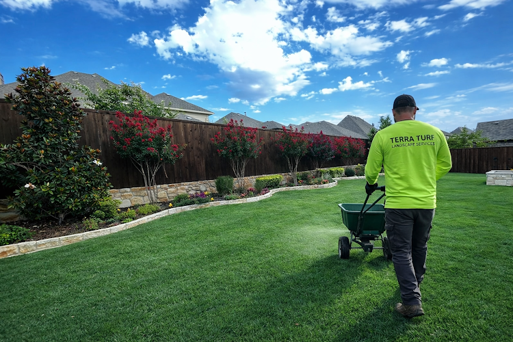 Terra Turf Landscape in Plano