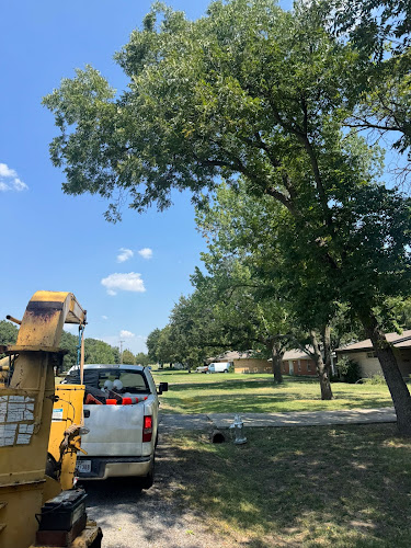 Soto Tree Service Inc in Arlington