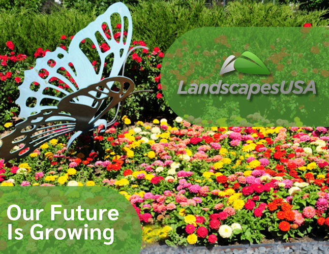 Landscapes USA - DFW in Irving