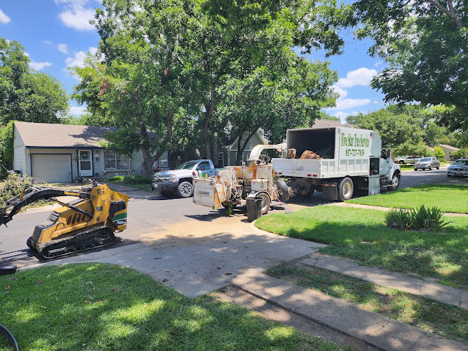 Five Star Tree Service in Fort Worth