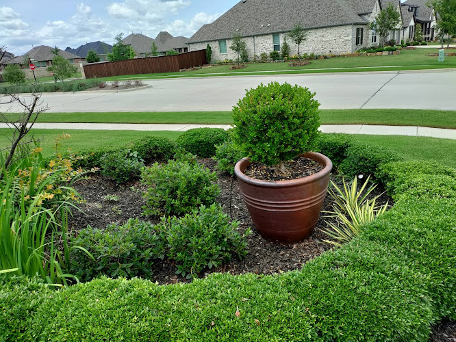Abraham Najera Landscape Services in McKinney