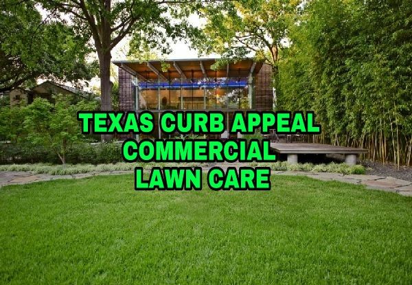 Texas Curb Appeal in North Richland Hills