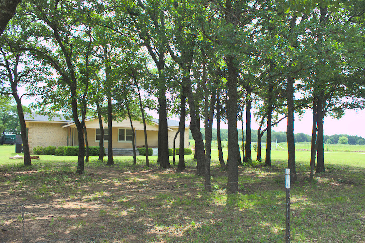 Monarch Tree & Landscaping Service in Sherman