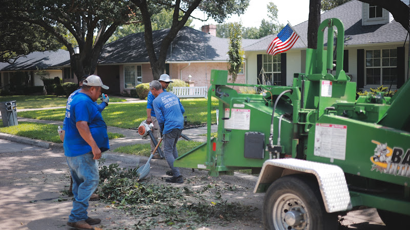 Aaron's Tree Service in Mesquite