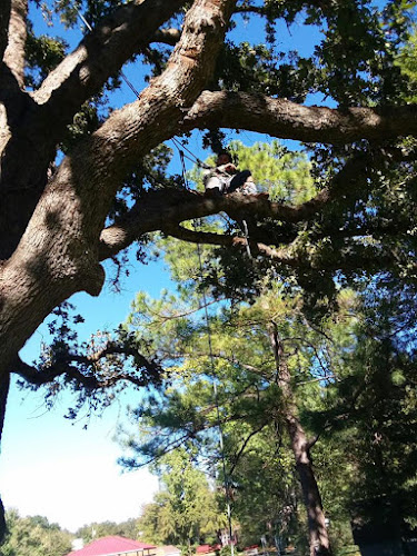 Masonry & Tree Services in Kemp