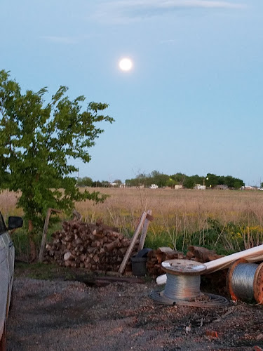 Jr. Complete Lawn and Tree Service in Venus