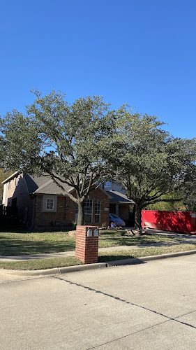 Tree Ops in Arlington