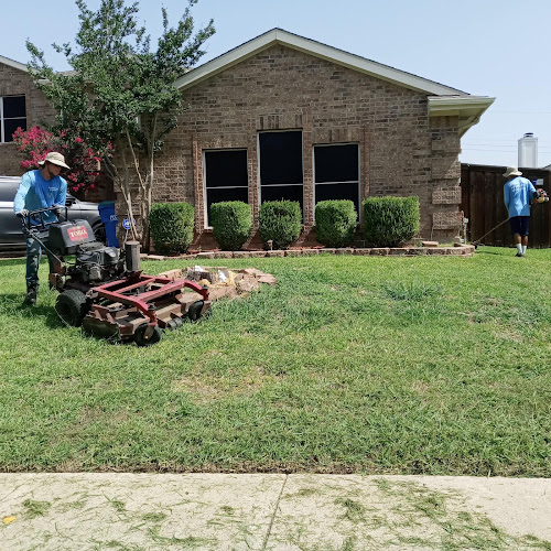 Meek Brothers Landscaping in Balch Springs
