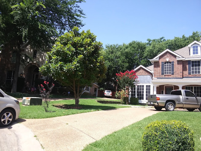 My Arborist! in Denton
