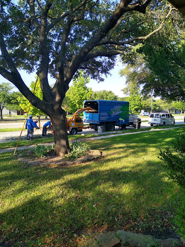 Texas Tree Surgeons in Garland