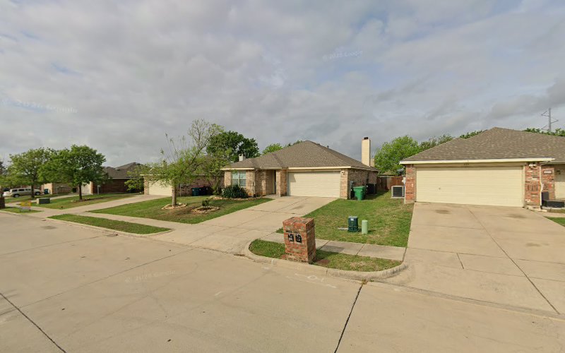Golden Tree Maintenance in Denton