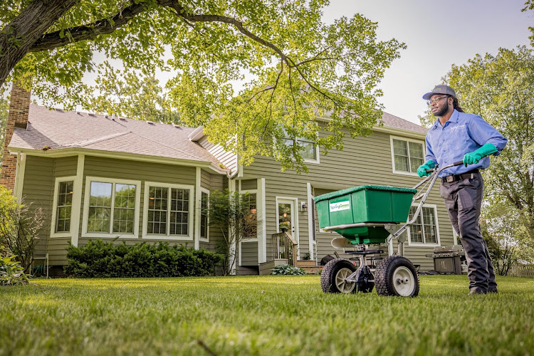 Spring Green in McKinney