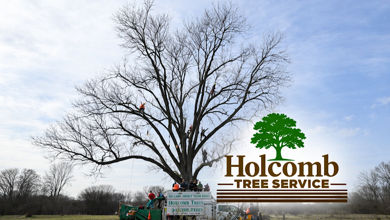 Holcomb Tree Service in Dallas