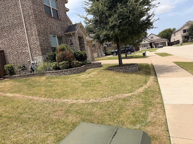 Collin County Lawn Care in Frisco