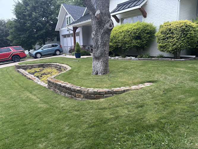 Valor Stump Removal in Anna