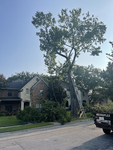 Metroplex Tree Service in Dallas